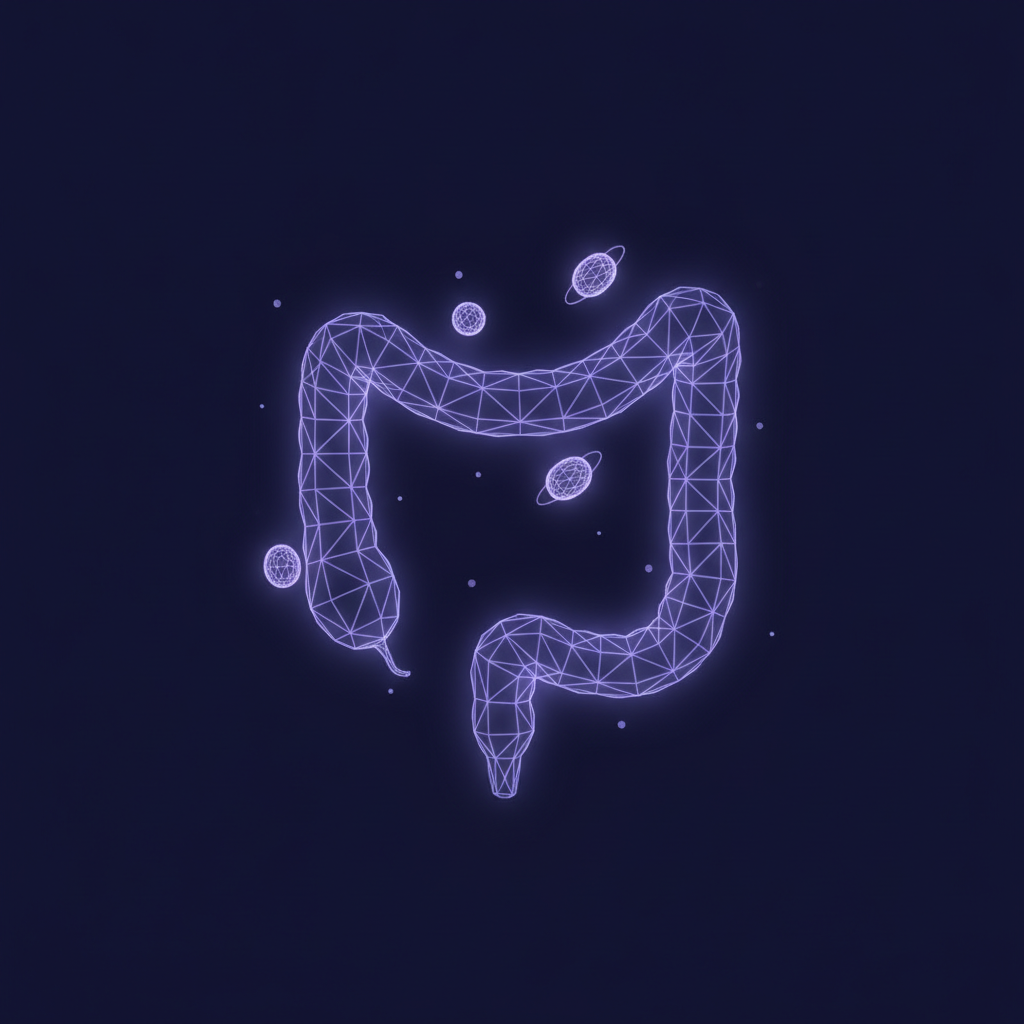 Gut Health Supplements: What Actually Works for Your Microbiome in 2026
